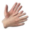 Clear Vmax Vinyl Examination Gloves - Image 3